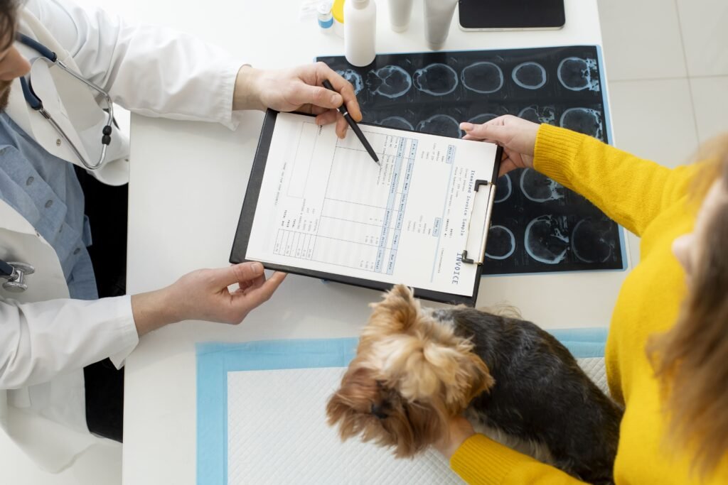 Veterinarian explaining dog paperwork during a consultation while discussing What Is ACA Dog Registry and dog registration process.