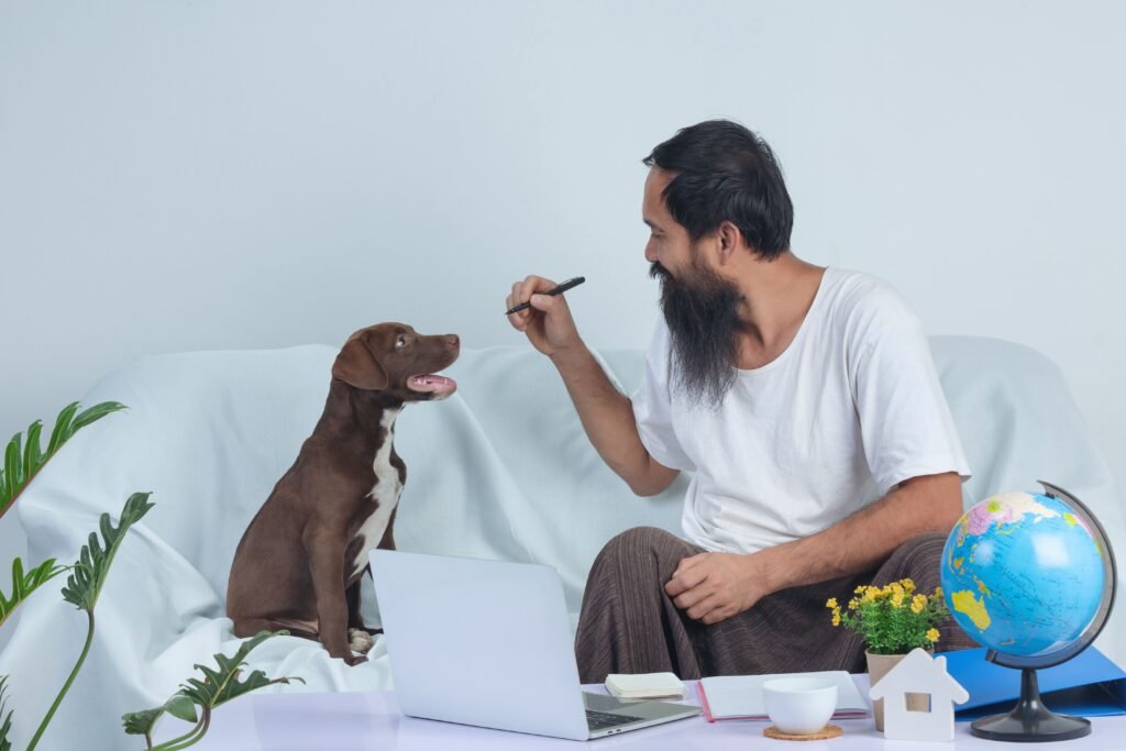 Pet owner training his dog at home while researching what is ACA registration for dogs on a laptop to understand dog registration and pedigree documentation